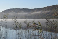 LE LAC DE CHAMBLY   2 projets pour un lac et son marais