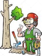 VENTE DE BOIS 
