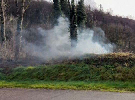  DECHETS VERTS ET BRULAGE INTERDIT