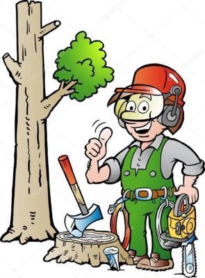 VENTE DE BOIS 