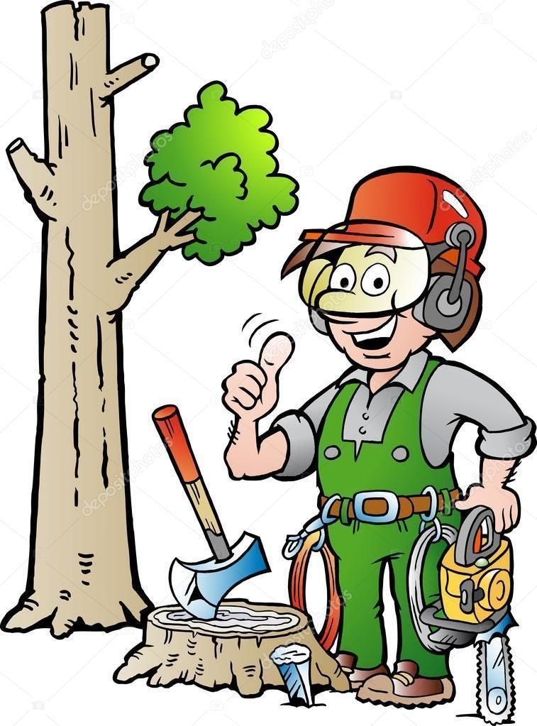 VENTE DE BOIS 