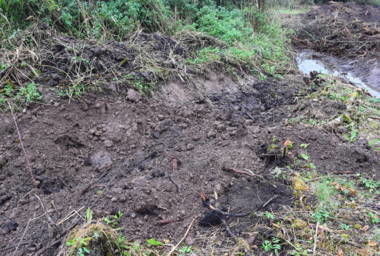 exemple de fossé comblé avec la végétation et matériaux  broyés du site