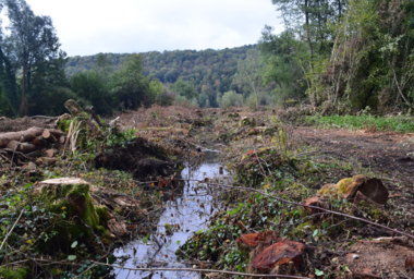 Fossé récupérant les résurgences du plateau - Ce fossé sera comblé et des panneaux barrages seront installés régulièrement pour bloquer la passage de l'eau canalisée jusqu'à présent.