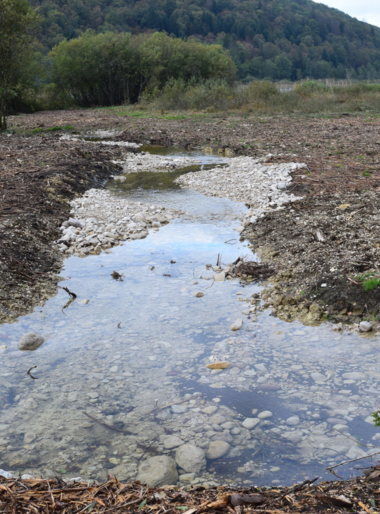 Remise en état des résurgence du Sartot, apport de matériaux argile, cailloux, reméanbrement, - Les résurgences ont déjà repris leur trajet naturel pour alimenter le lac